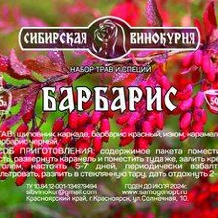 Барбарис